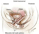 clinicadecoloproctologia